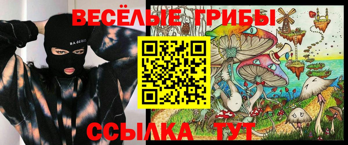 Галлюциногенные грибы Cubensis Северобайкальск